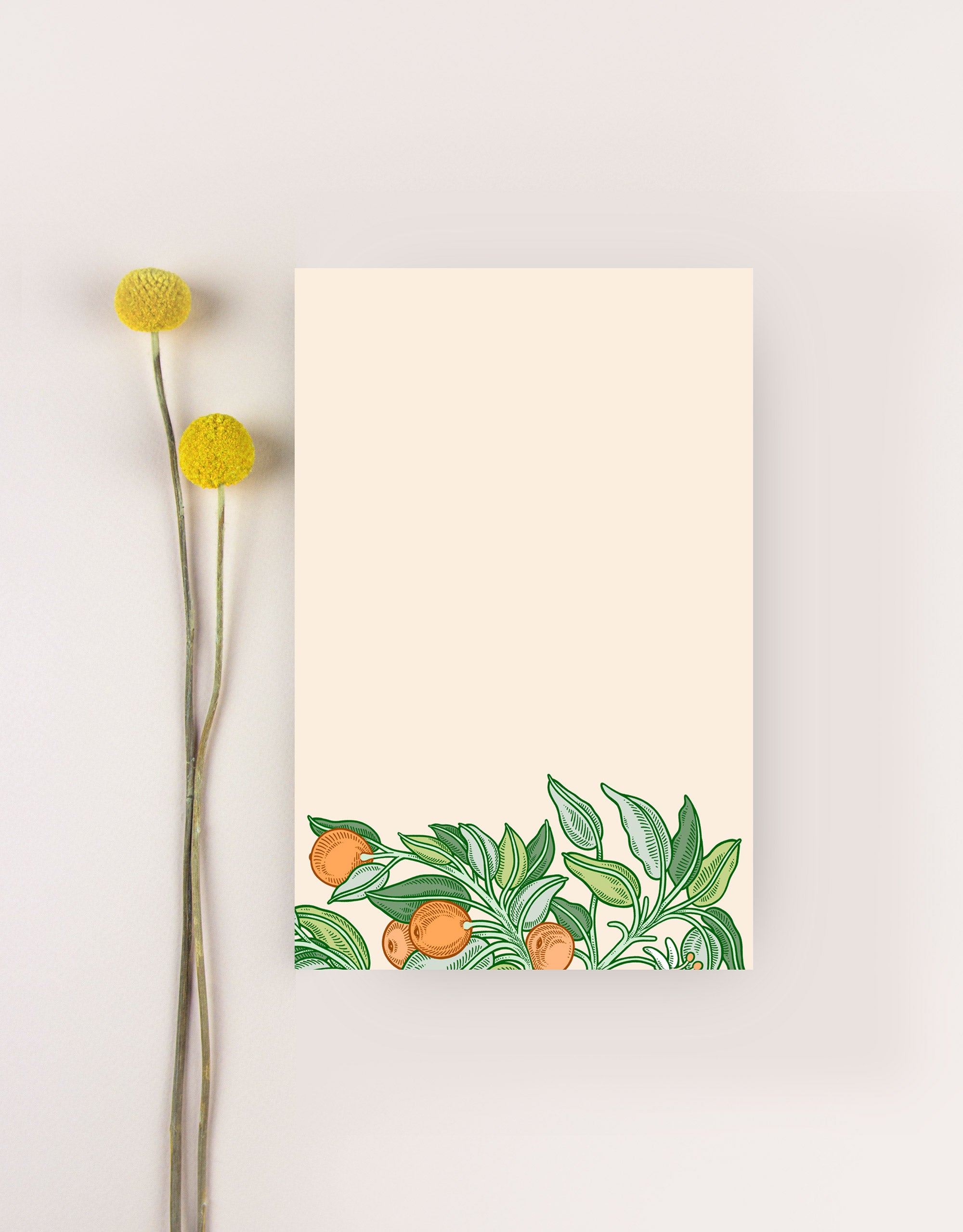 notepad with oranges botanical illustartion
